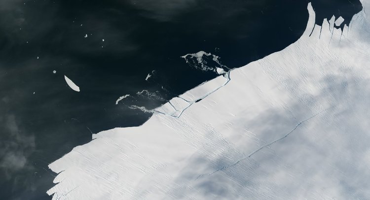 Откъсването на айсберга на 31 януари 2017 год. Сн.: НАСА