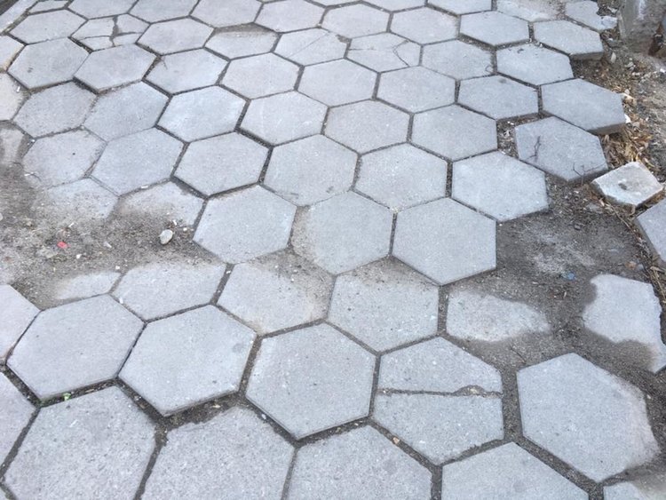 Корени на дървета изяждат тротоарите на асеновградските улици