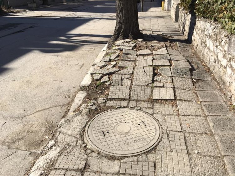 Корени на дървета изяждат тротоарите на асеновградските улици