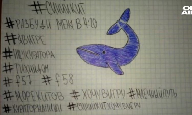 Паника насила: Синият кит – от зловеща игра до измислена новина