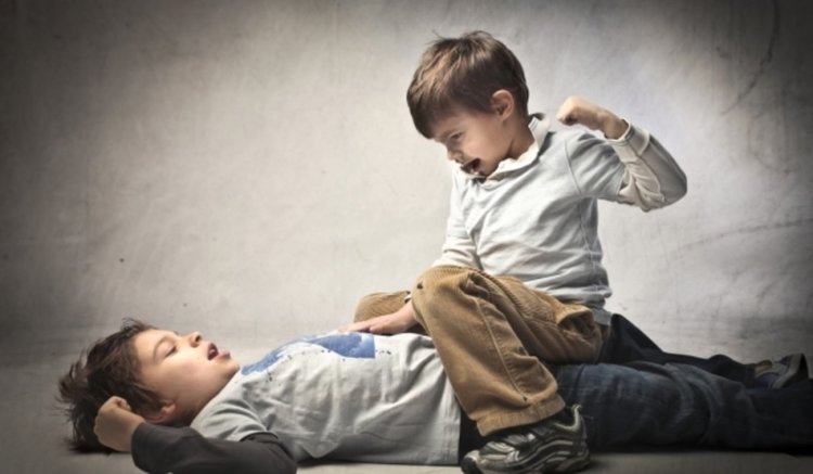 Експерт: Увеличава се жестокото насилие между деца