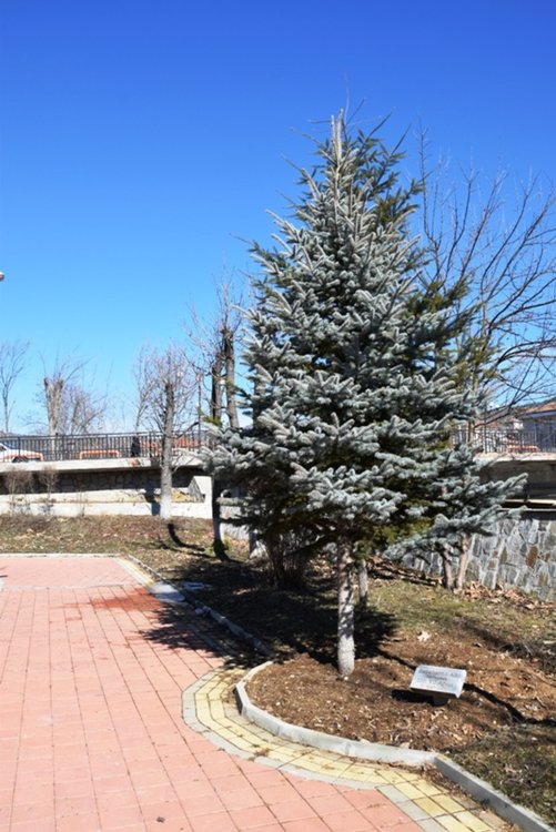 Навършват се 110 години от рождението на световноизвестния писател Сабахаттин Али