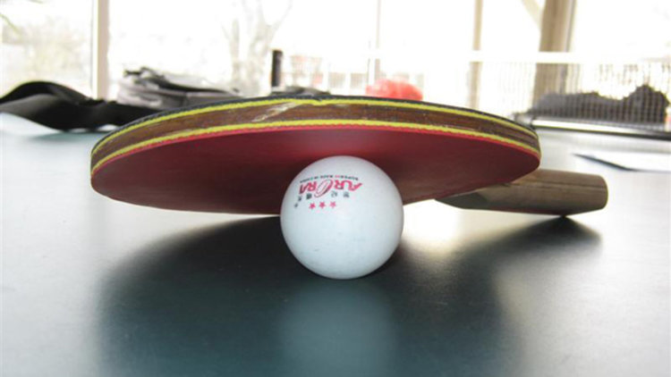 Тенис клуб "Родопи" в Момчилград се цели в призови места на Държавното първенство