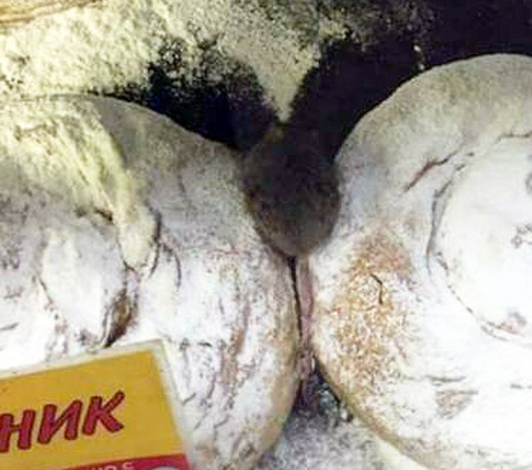 тиквеник с мишка