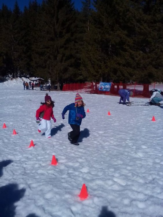 Над 400 деца се включиха в Зимно предизвикателство`2017, община Смолян наградена с плакет за организирането му