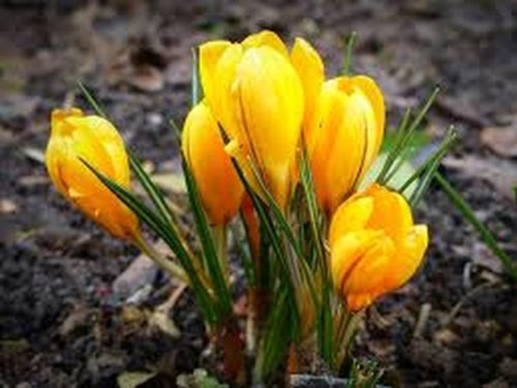 Слънчево, температури до 17 градуса