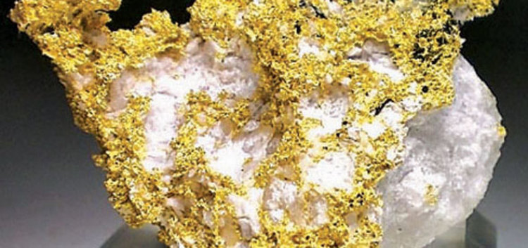 Виена очаква ”Първото злато” от Ада тепе