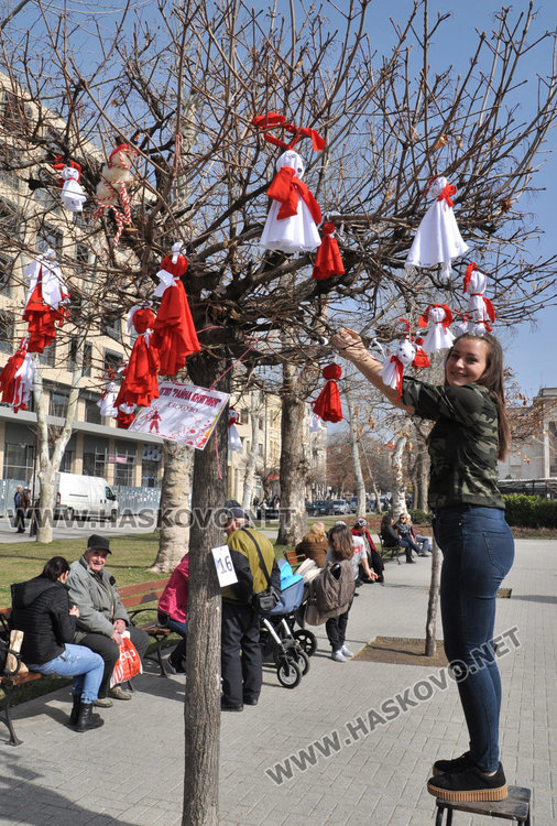Дърветата в центъра на Хасково грейнаха в бяло и червено