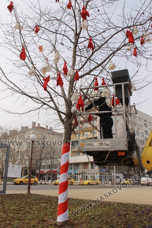 Пред сградата на Общината бе украсено дърво с мартеници