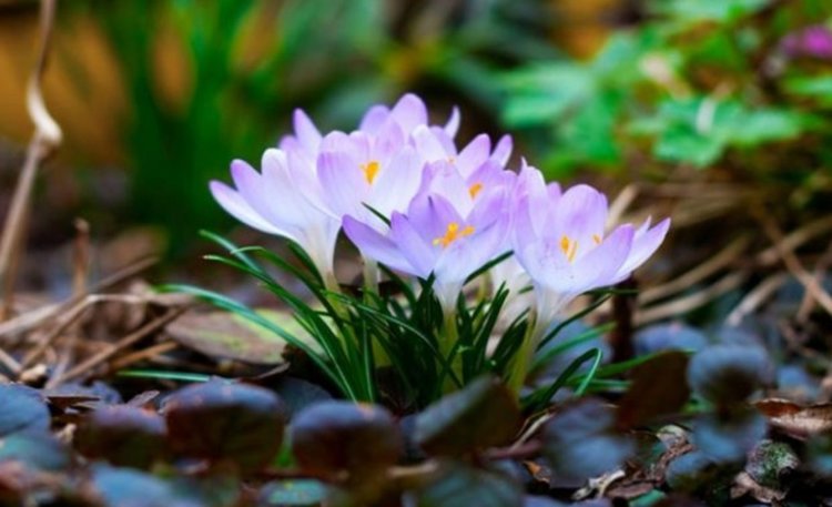 Слънчево и топло, живакът  удря 22 градуса