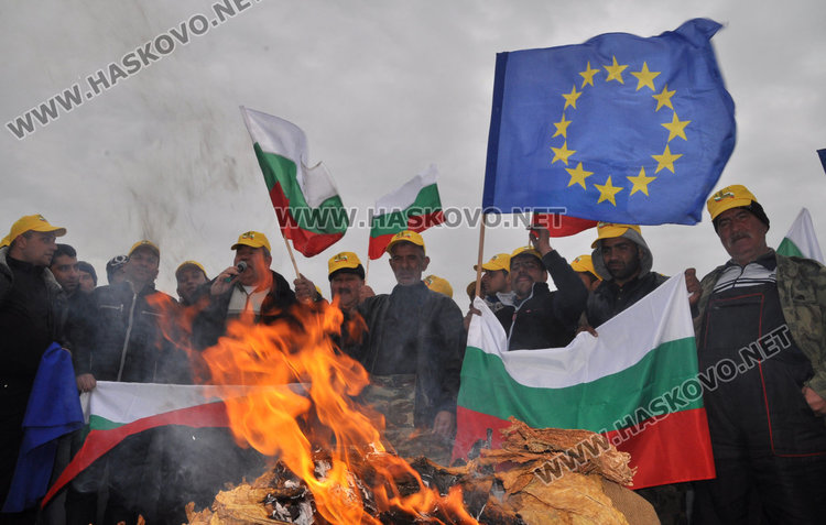 Производители още чакат 2.5 млн. за тютюна, палят го в знак на протест