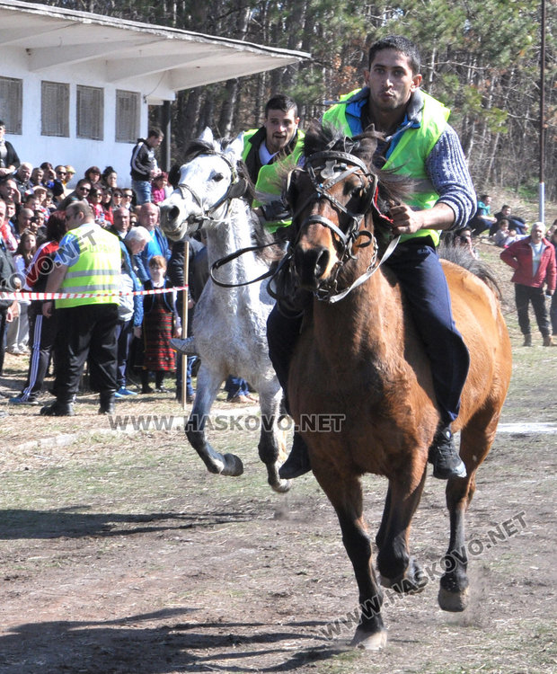 Бременната кобила Севда обра наградите от кушията в Бисер