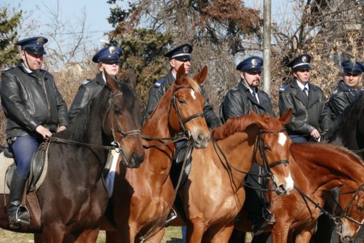 Традиция и конски тръс: Кушии и ездачи в униформа  