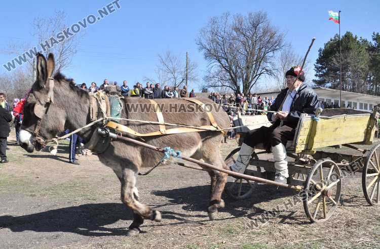 Дельо Делчев и магарето Калин