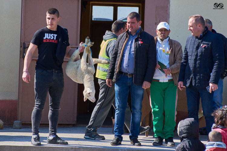 Най-бърз е конят на Димитър Миленков