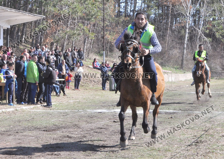 Бременната кобила Севда обра наградите от кушията в Бисер