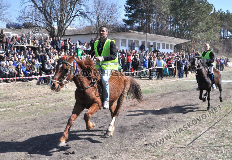 Бременната кобила Севда обра наградите от кушията в Бисер