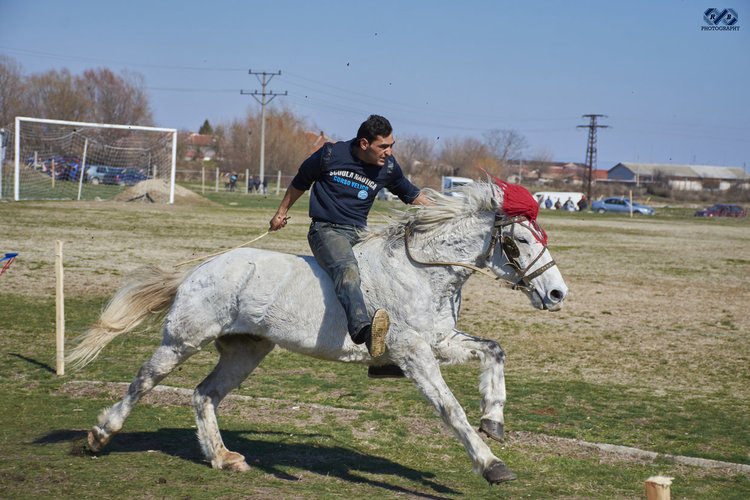 Най-бърз е конят на Димитър Миленков