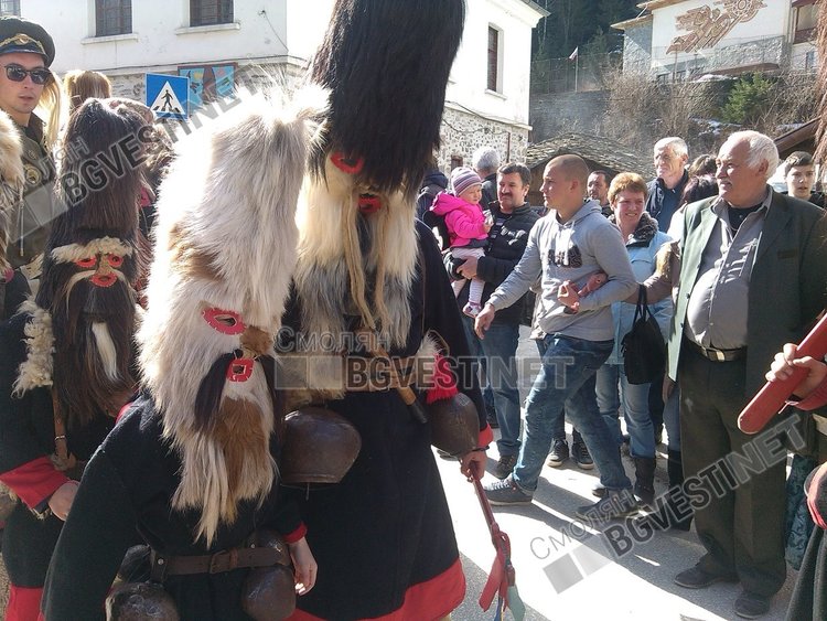 Маските на песяците се правят от специални материали, но козината на кози с подходяща дължина е голяма рядкост