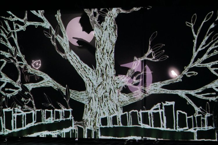 Представят аудио-визуален куклен спектакъл в димитровградския театър