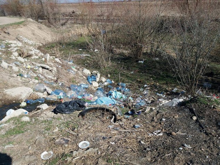 По сигнал: Чешмата до оранжериите - мръсотия и мизерия