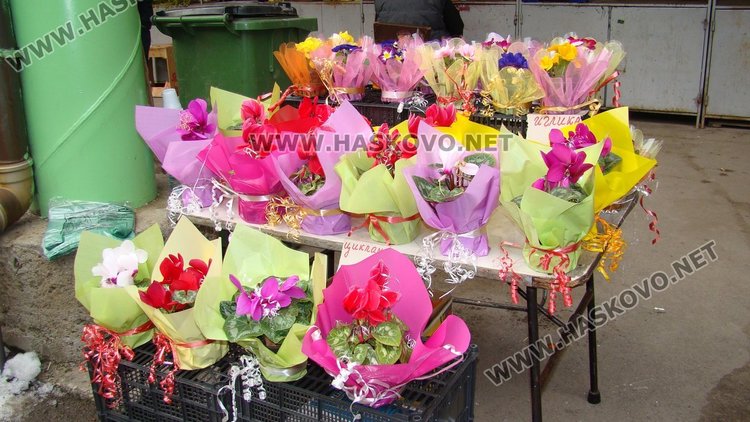 Цветята в Димитровград поскъпнаха за 8 март