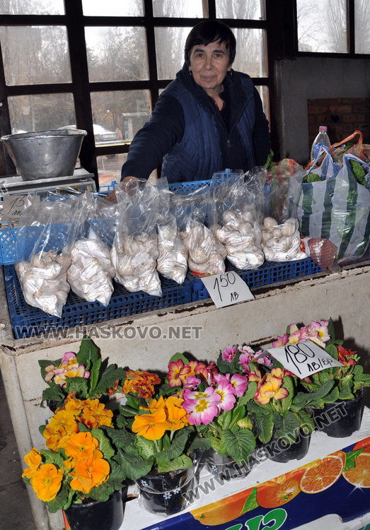 Опашки за цветя преди 8 март, зарзаватчиите също изкараха саксии