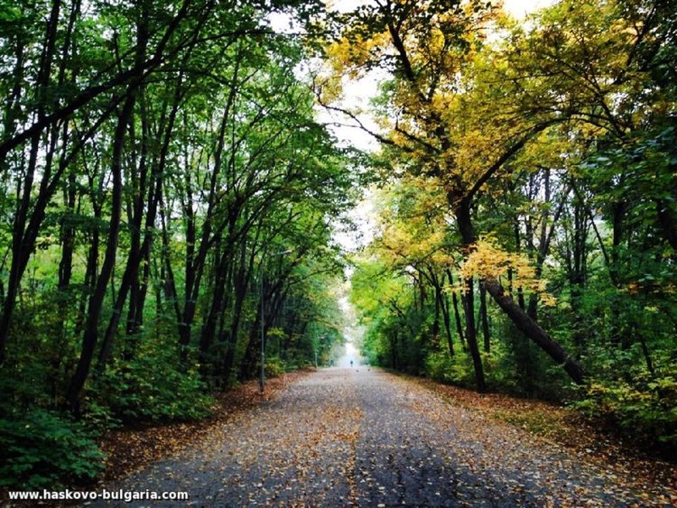 Търси се собственикът на изгубен пинчер в Кенана