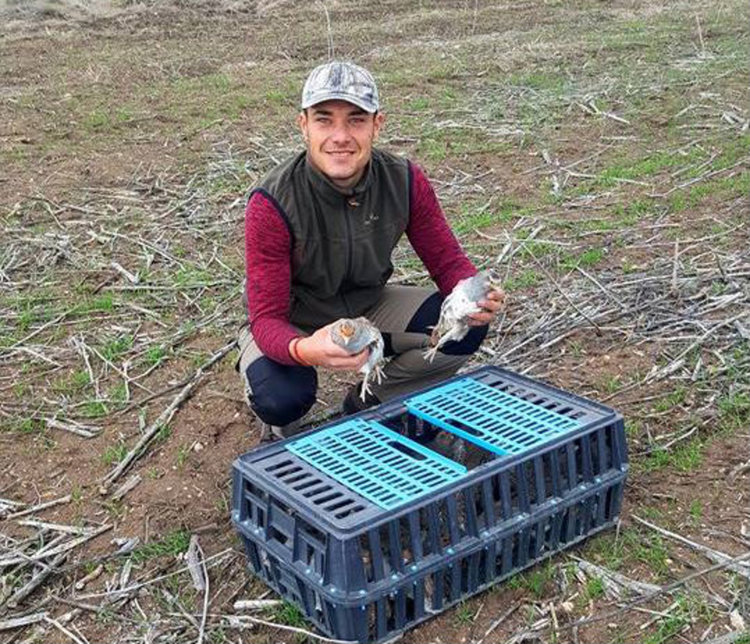 Ловците разселиха 750 яребици