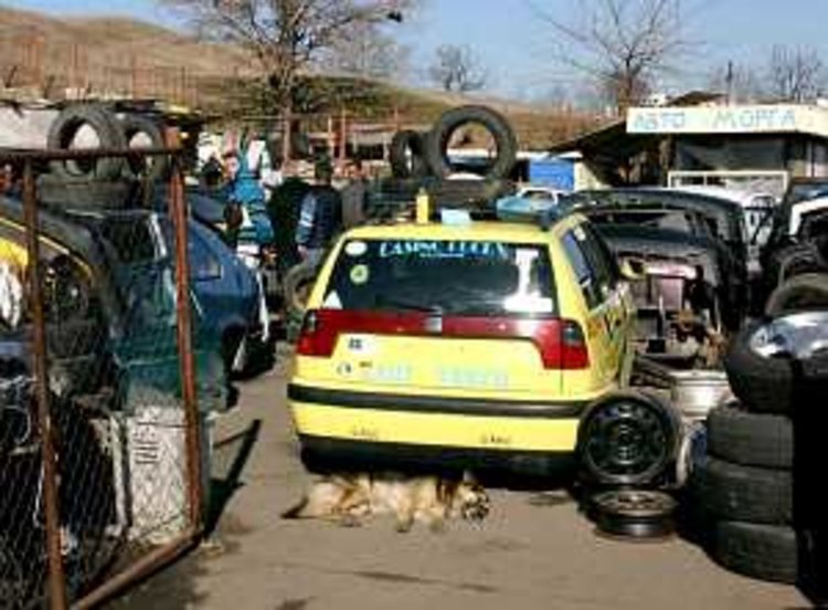 Законна автоморга