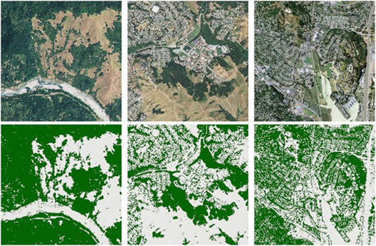 Квантовият компютър D-Wave 2X се научи да различава дърветата