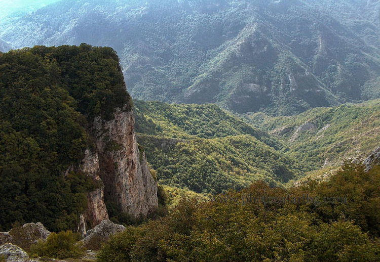 "Устремени" запретват ръкави за акции "Зелена неделя"