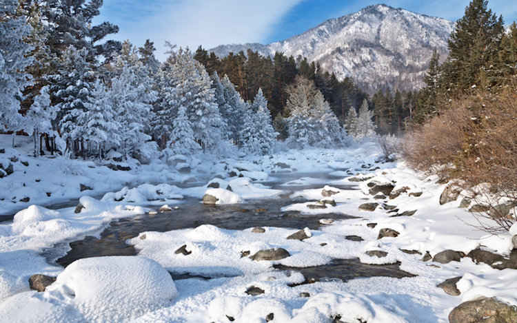 Четиригодишна извървя 8 км през тайгата, за да спаси баба си