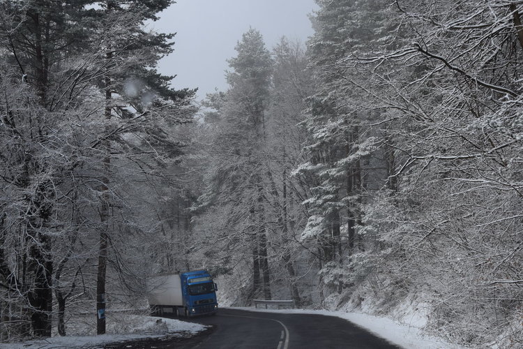 Мартенски сняг покри Ардинско