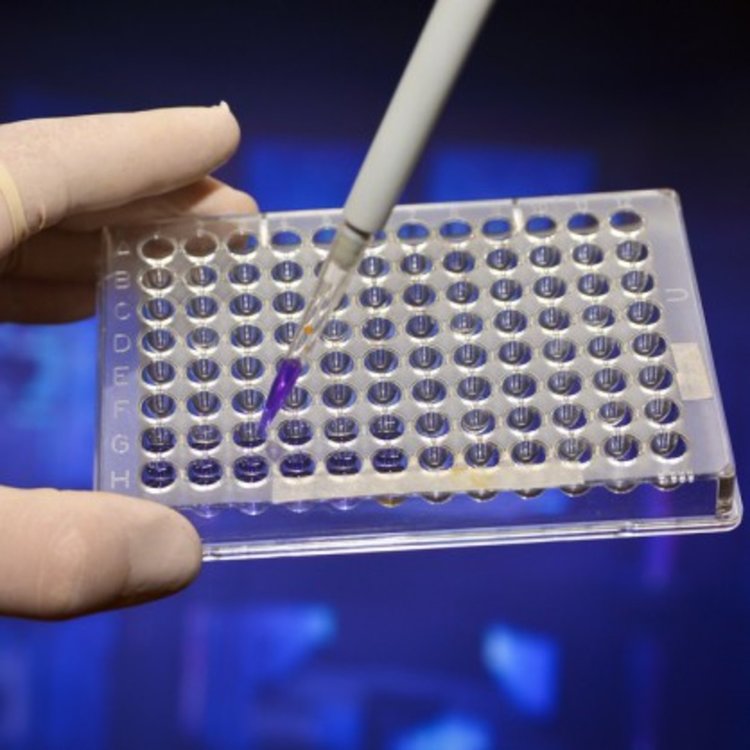 Нелицензирано лечение със стволови клетки ослепи три жени