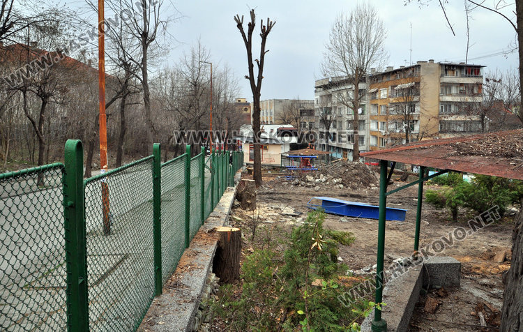 Общината: Ето как изглеждаха дърветата в забавачката, преди да ги отсечем