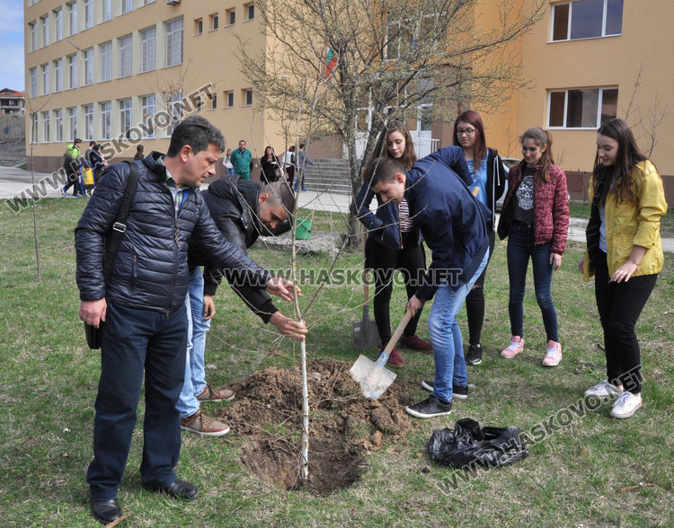 Благотворителен базар с френски и испански вкусотии в Езиковата, засадиха и бреза