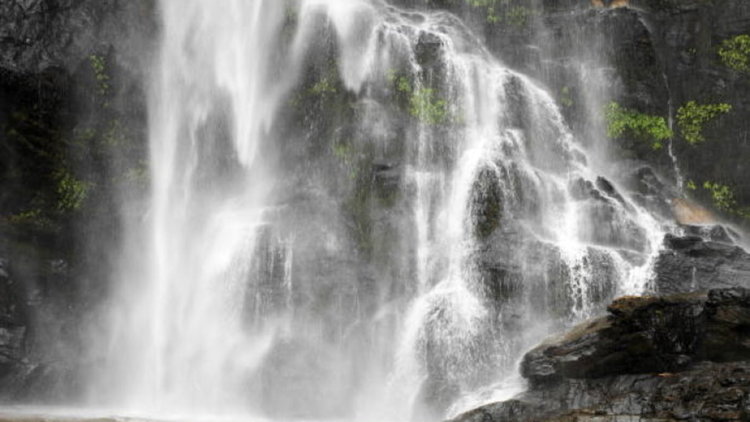 Паднали дървета убиха 20 ученици и раниха други 11 в Гана