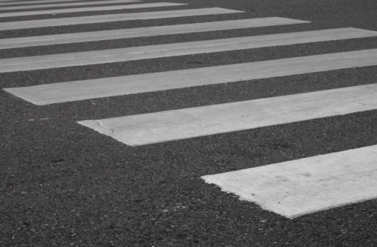 „Ягуар“ потроши баба на зебра и духна