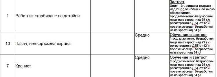 Търсят детегледачки чрез Бюрото по труда в Димитровград