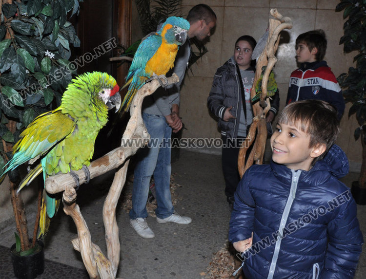 35 папагала от 4 континента гостуват в Първомай