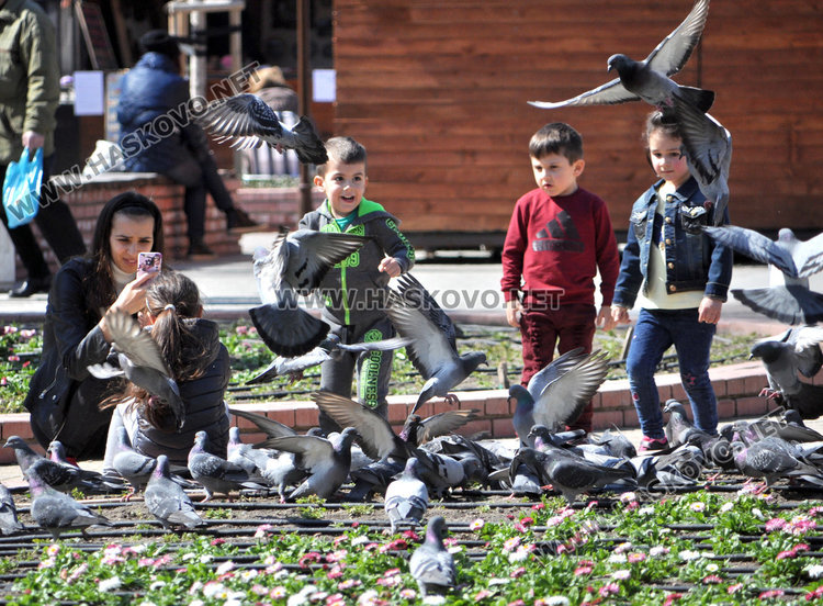 Слънчев и топъл вторник, гоним температурен рекорд