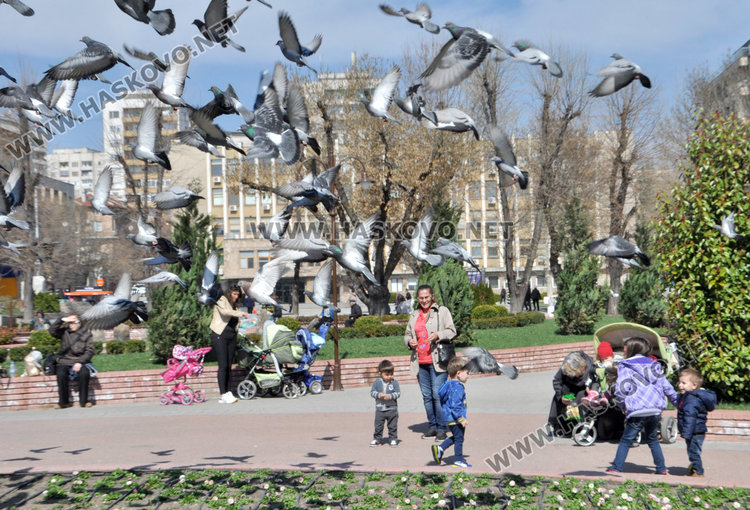 Отново слънчево и топло днес, в Хасково около 20-те