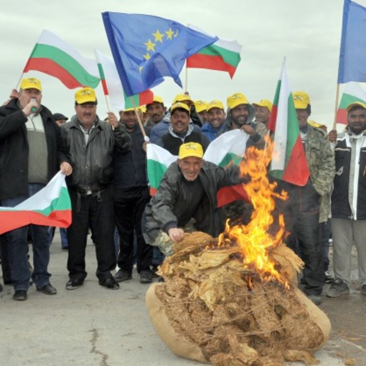 Бурни протести на фермери заради субсидии