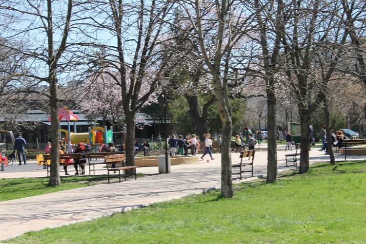 Паркът да бъде ограден от предпазни прегради, настояват в подписка