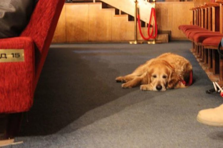 За първи път в България прожектираха филм за незрящи хора