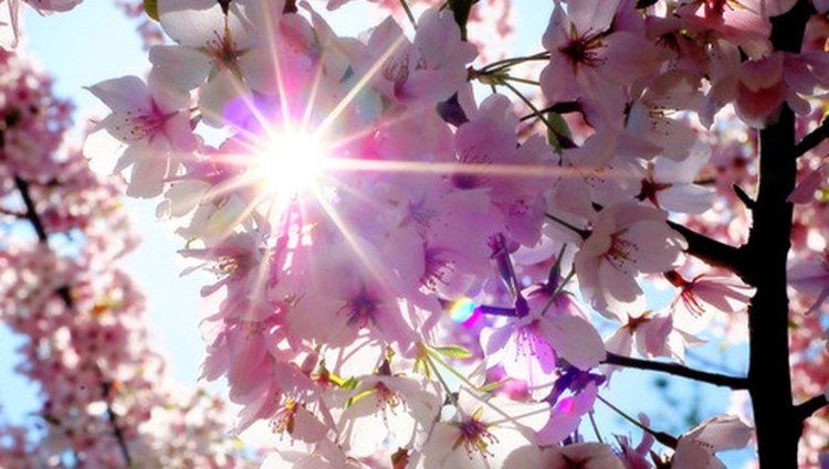 Слънце и облаци в събота, живакът  стига 21 градуса