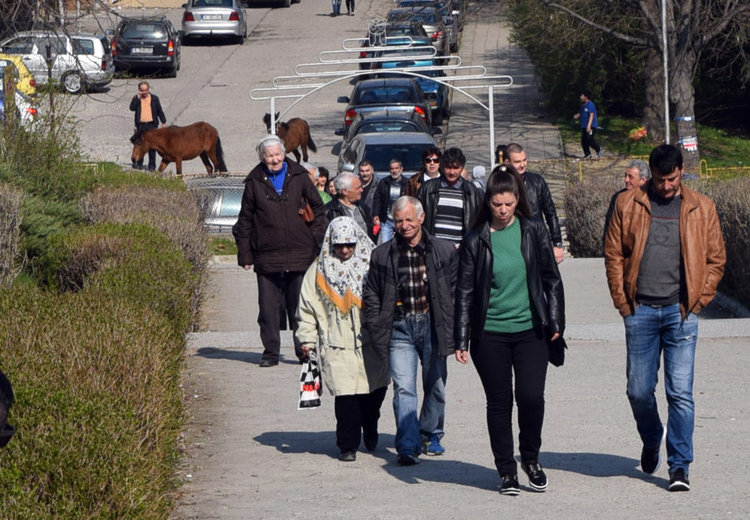 Коне на опашка