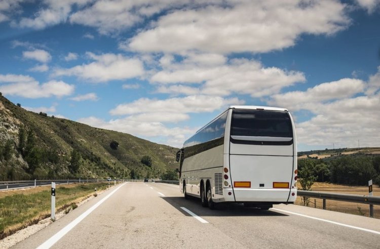 Турски автобус с избиратели се появи пред секция в Гърция