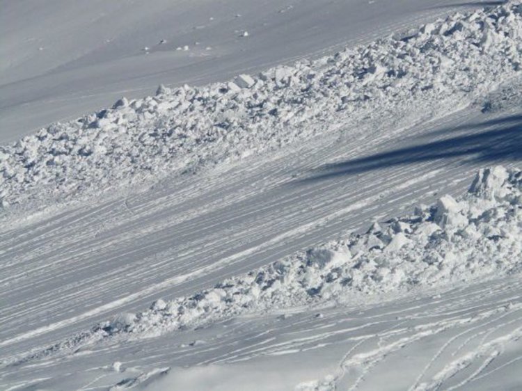 Осем загинали и десетки ранени ученици при лавина в Япония